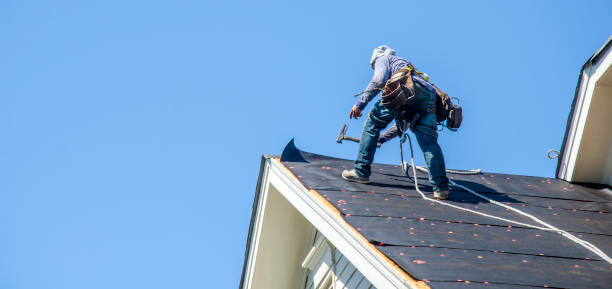 Roof Gutter Cleaning in East Foothills, CA